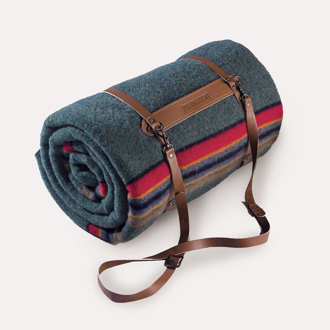 Blanket with carrier